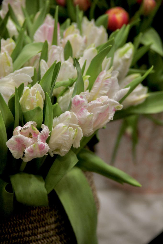 Un air de printemps photo 20